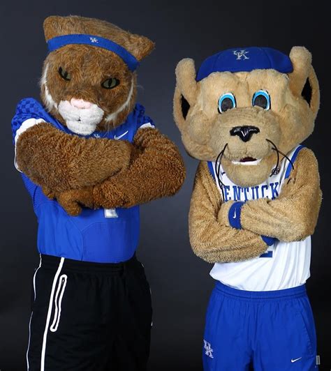 The Unforgettable Moments Created by Wildcat College Mascots